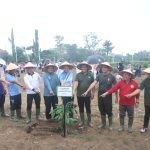 Danrem 045/Gaya Bersama Forkopimda Tanam Bibit Pohon Dalam Rangka HUT Ke-24 Provinsi Babel