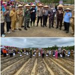 DANDIM 0431/BANGKA BARAT HADIRI KEGIATAN POLRES BANGKA BARAT DALAM PENANAMAN JAGUNG SERENTAK 1 JUTA HEKTARE MENDUKUNG SWASEMBADA PANGAN 2025*