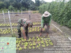 IMG-20250425-WA0123