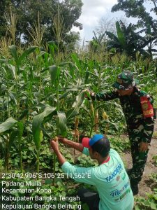 IMG-20250516-WA0043