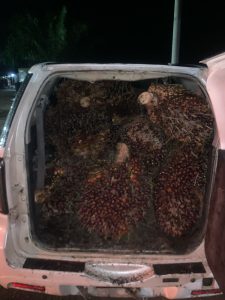 IMG-20250520-WA0063