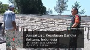 IMG-20250529-WA0044