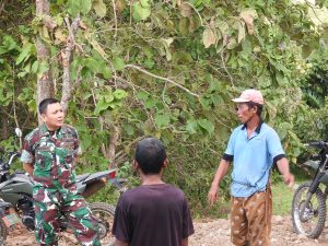 IMG-20250530-WA0021