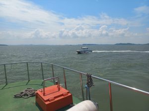 IMG-20250626-WA0046