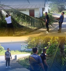 3393a2ea-bdb4-4cc6-9d40-4b59f13429e0