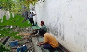 IMG-20250728-WA0064