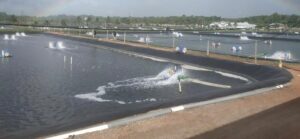 IMG-20250912-WA0029