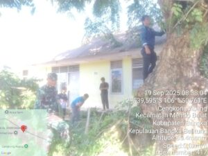 IMG-20250919-WA0044