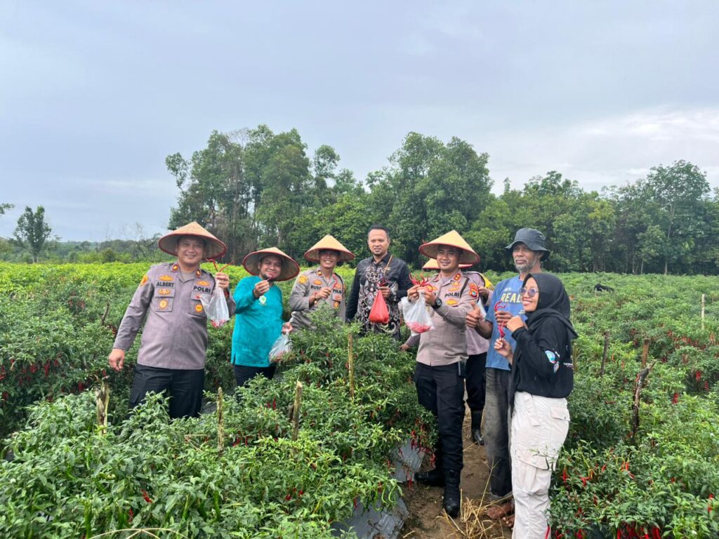 WhatsApp Image 2025-09-11 at 00.43.14