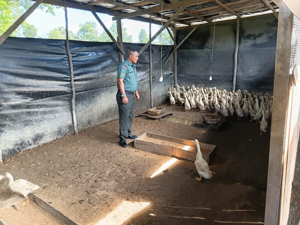 15dff47d-7bbf-442e-8979-43a5f2114d4d