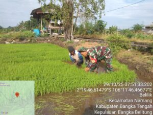 c7c337ba-800c-4aad-8057-6022592f7f20