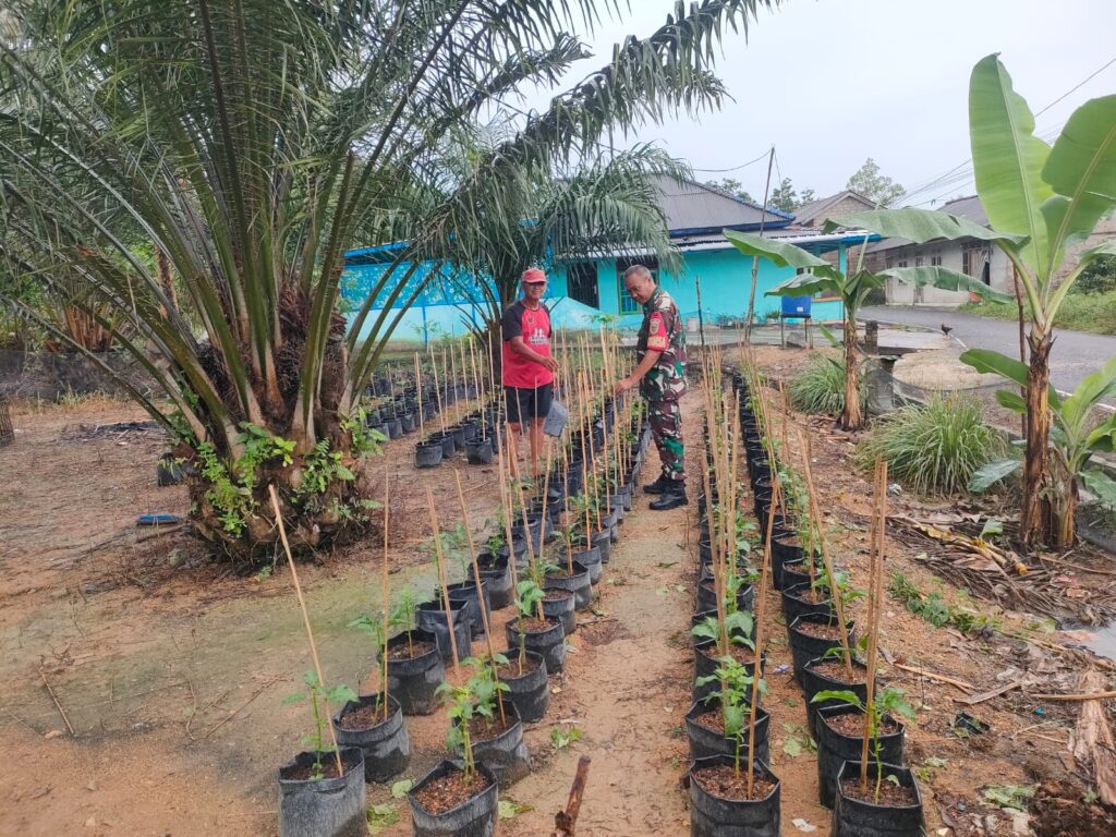 33a93051-283e-4b3e-b63f-b321de20991e