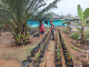 33a93051-283e-4b3e-b63f-b321de20991e