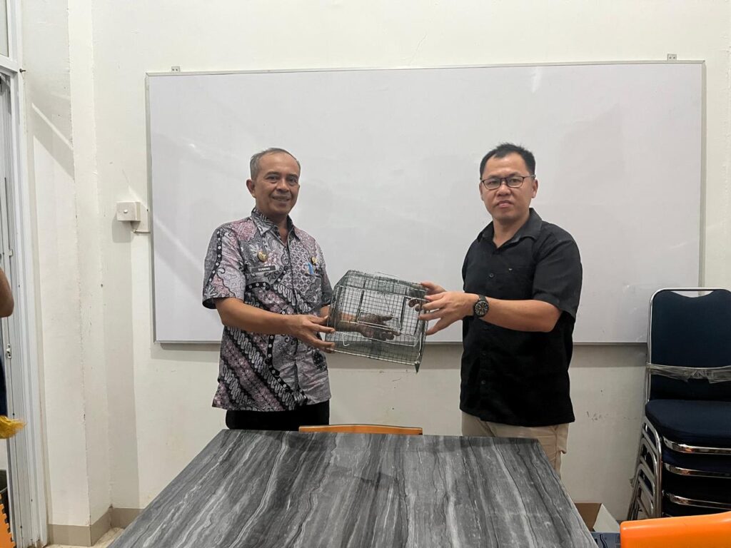 428ec3c1-a33d-43b2-9ca6-facc23a00e40