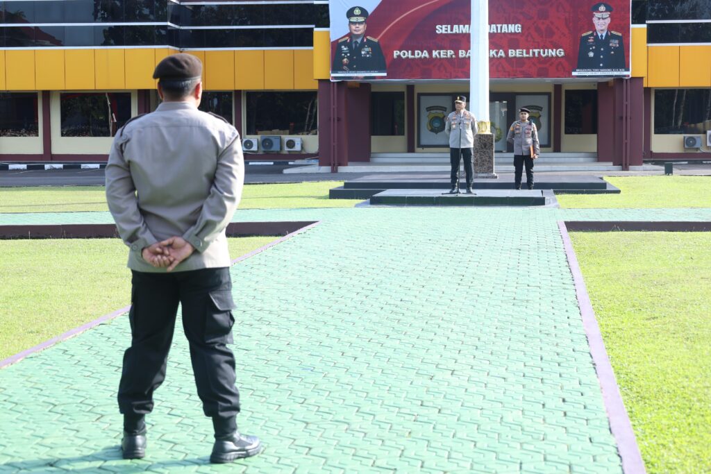 WhatsApp Image 2025-11-03 at 09.37.54