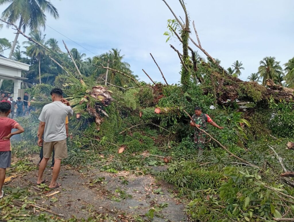 WhatsApp Image 2025-11-20 at 12.54.49