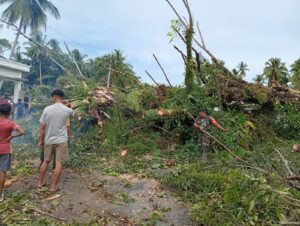 WhatsApp Image 2025-11-20 at 12.54.49