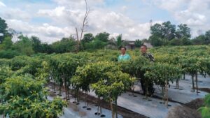 WhatsApp Image 2025-11-24 at 15.31.17