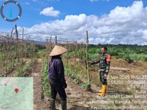 cdd85bf6-9e2f-4f03-a1ae-41ceeeb72d1e