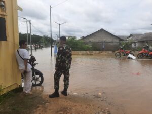 03af1ff9-b439-49e3-a251-a53af747ffac