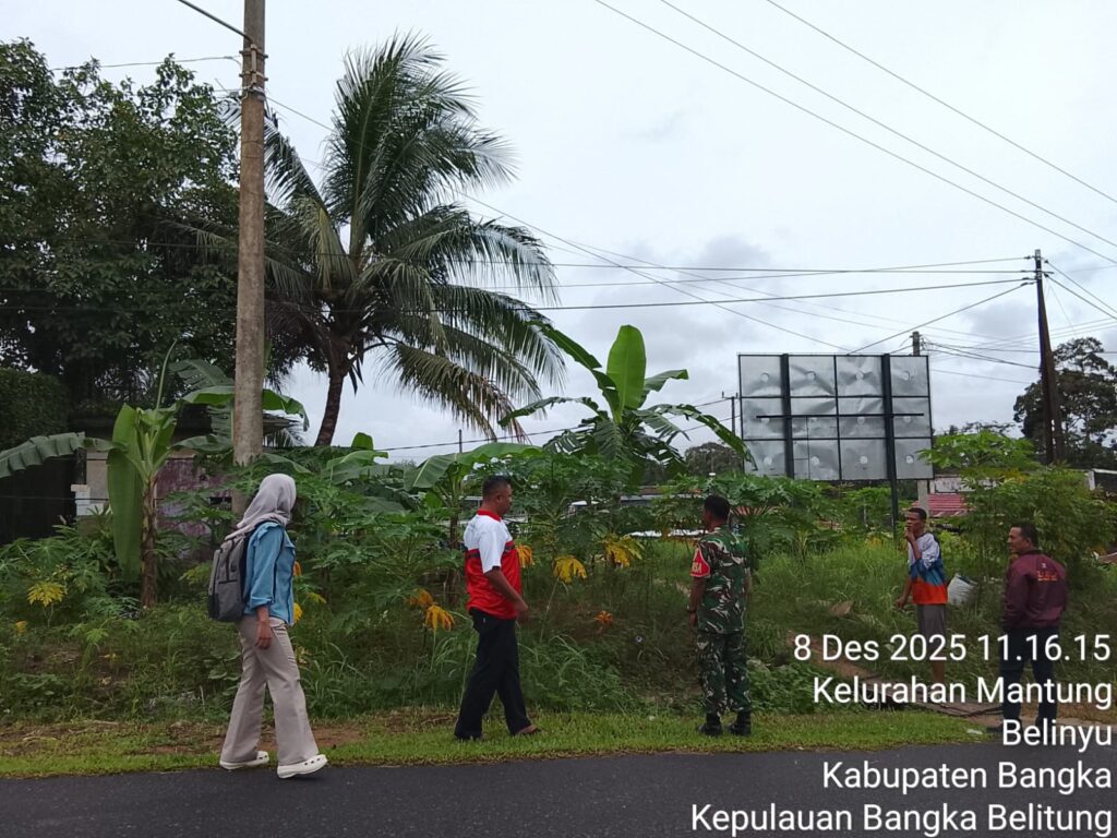 WhatsApp Image 2025-12-08 at 19.23.19