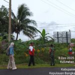 Babinsa Kelurahan Mantung, Serma Darwin, Laksanakan Komsos dan Tinjau Lokasi Rencana Pembangunan Kantor Koperasi Merah Putih Bersama Lurah