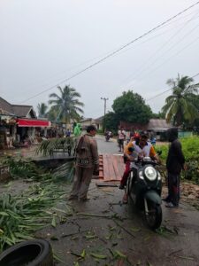 WhatsApp Image 2025-12-08 at 20.49.25