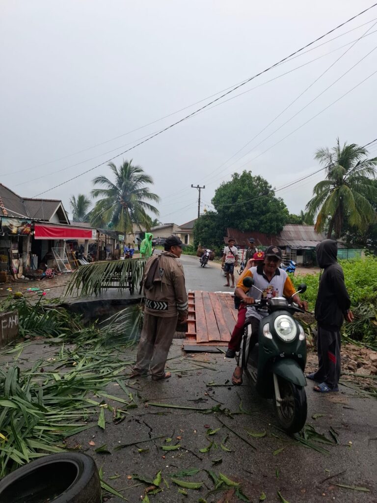 WhatsApp Image 2025-12-08 at 20.49.25