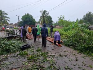 WhatsApp Image 2025-12-09 at 11.49.22 (1)