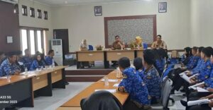 WhatsApp Image 2025-12-14 at 16.47.06 (2)