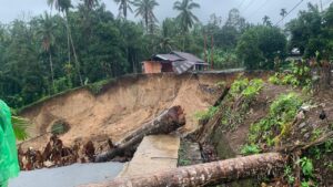 WhatsApp Image 2025-12-25 at 19.04.05 (2)