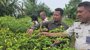 7bb9240a-1309-44d5-81a4-660e47bcc989