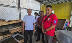 WhatsApp Image 2026-02-15 at 15.31.39