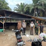 Sinergi Tiga Pilar Bukit Intan Tindak Lanjuti Laporan Warga Terkait Aktivitas Sabung Ayam