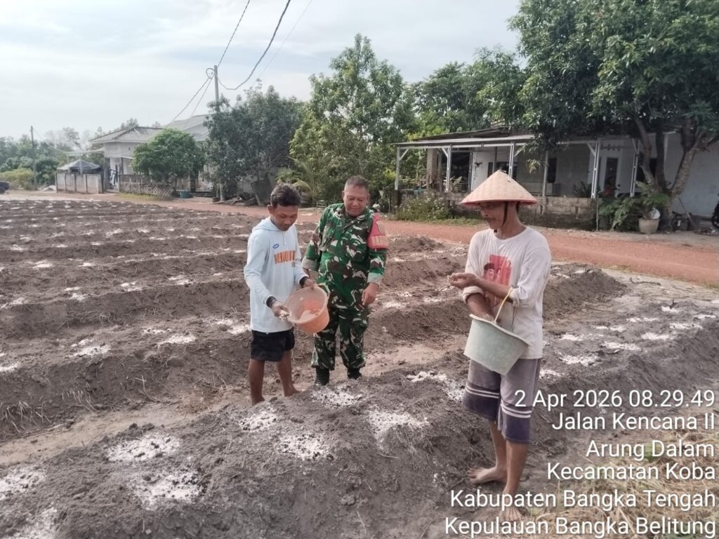 WhatsApp Image 2026-04-02 at 14.37.11