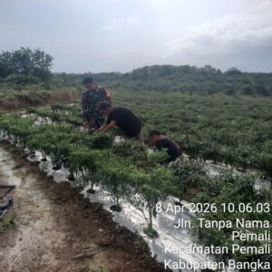 WhatsApp Image 2026-04-07 at 19.45.02