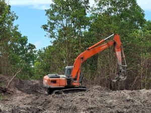 WhatsApp Image 2026-04-24 at 20.01.51 (1)